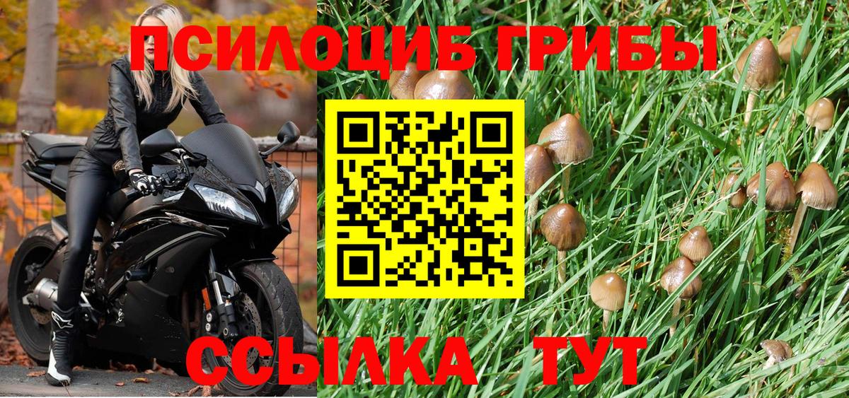 Галлюциногенные грибы мицелий Полевской