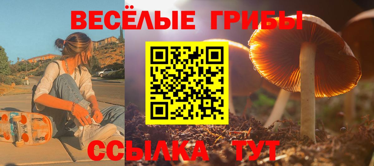 Полевской  Псилоцибиновые грибы Cubensis  Вход с VPN 